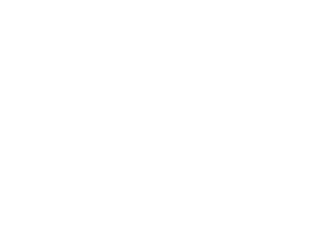 zee dog
