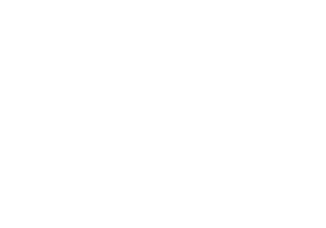 rebu