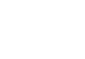verve capital