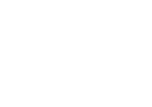 wsc sport